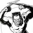 Wolverine (c) Marvel Comics